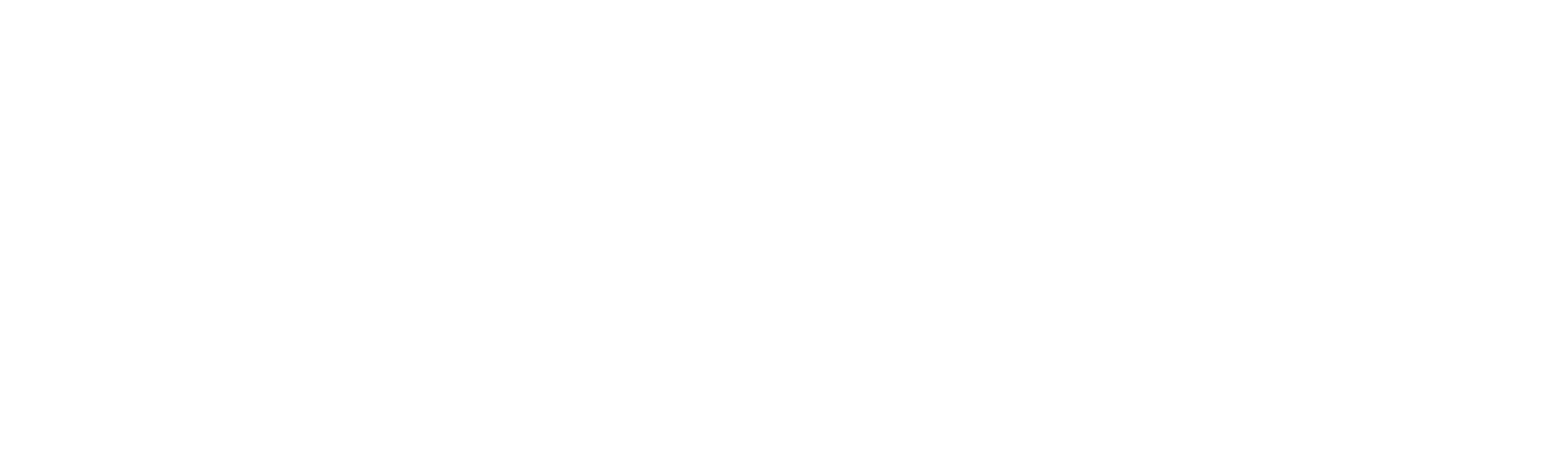 Limitless Vitality Logo 